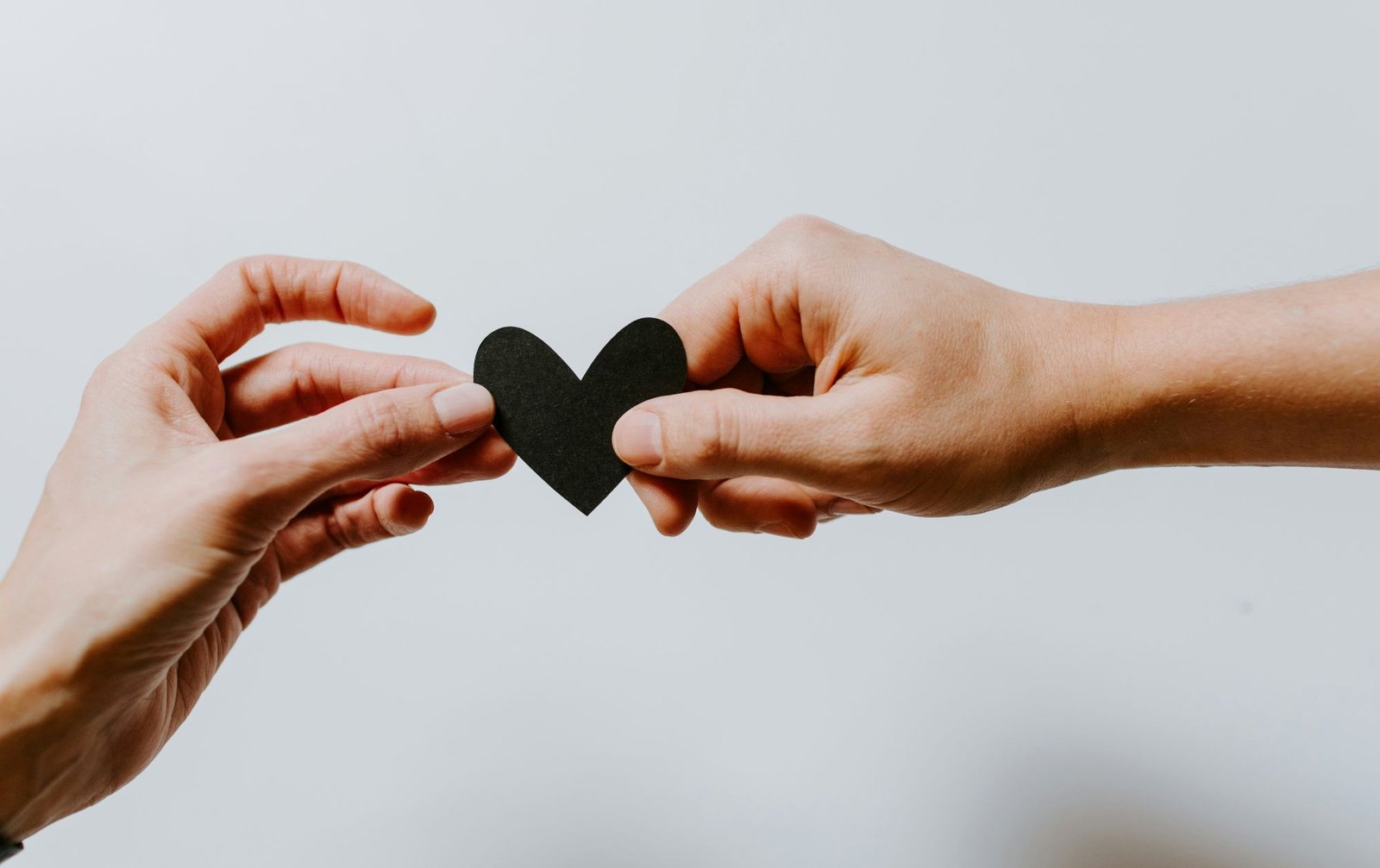 The Endless Benefits of Becoming a <br>Volunteer at KASP